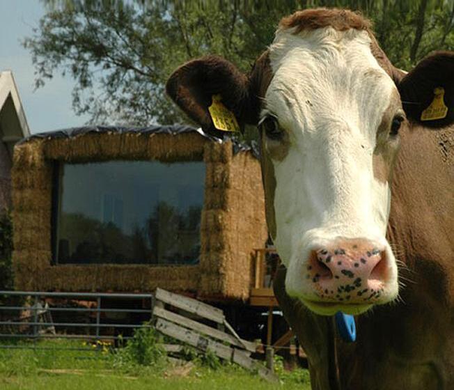 חדר משפחתי נוף לגינה, Gastopstal