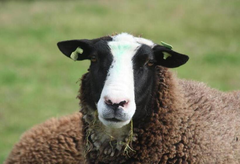 带1个卧室的公寓, Logerenbijonsz