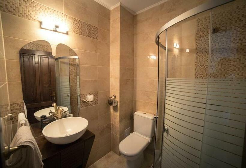 スタンダードルーム, Saciova Hills