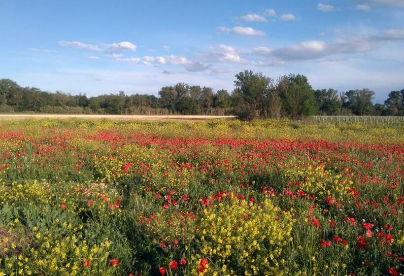 חדר סטנדרט, Villa Fontilha