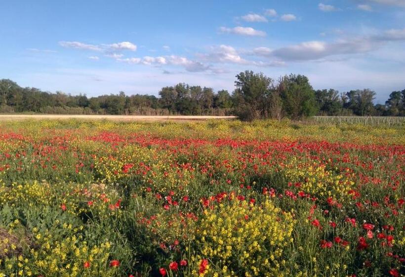 חדר סטנדרט נוף לגינה, Villa Fontilha