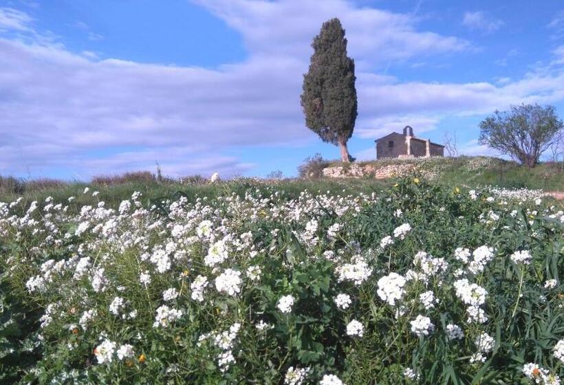 חדר סטנדרט חדר אמבטיה משותף, Villa Fontilha