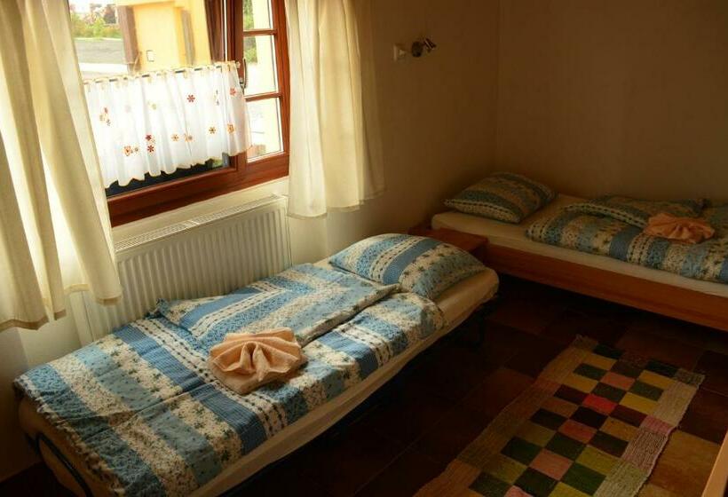 غرفة قياسية فردية, Penzion Farma Dvorec