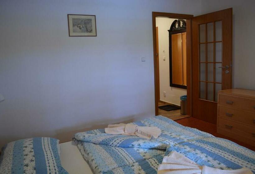 غرفة قياسية, Penzion Farma Dvorec