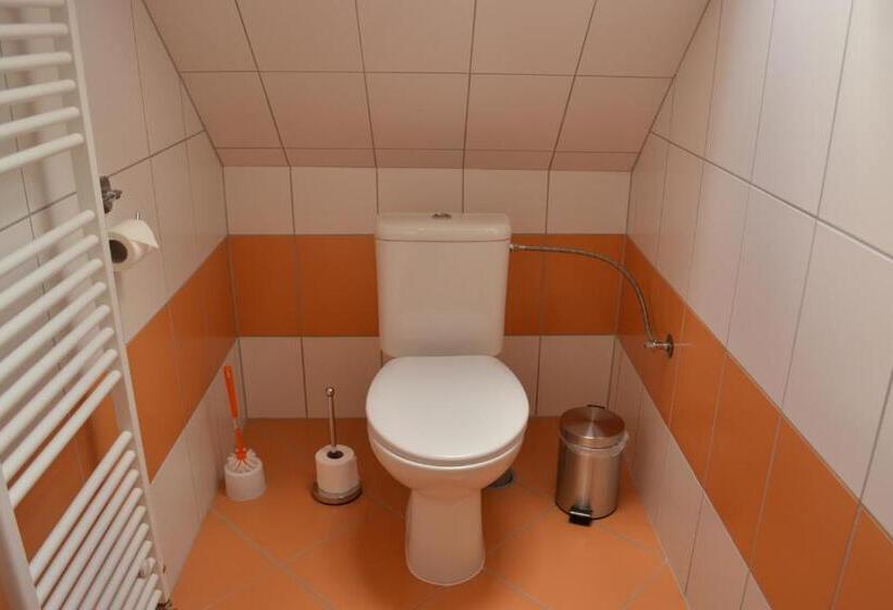 جناح سرير كينج, Penzion Farma Dvorec