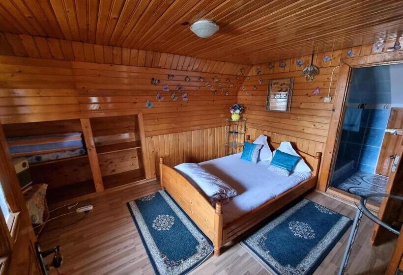 Номер Стандарт, Pensiunea Paradis