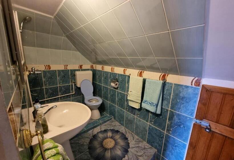 Номер Стандарт, Pensiunea Paradis