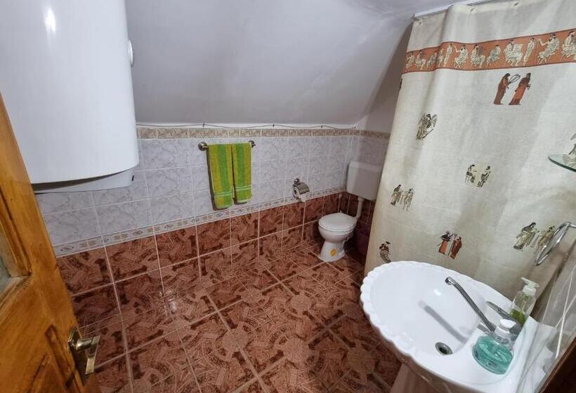 Номер Стандарт, Pensiunea Paradis