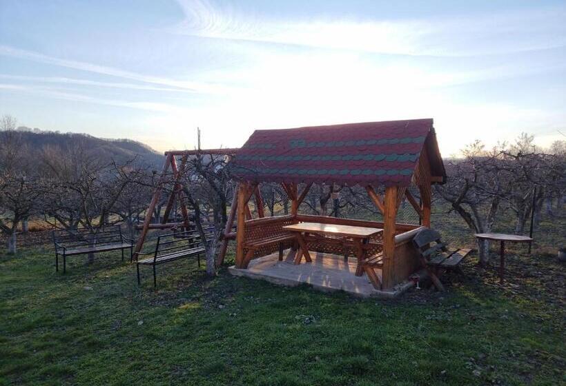 Номер Стандарт, Pensiunea Paradis