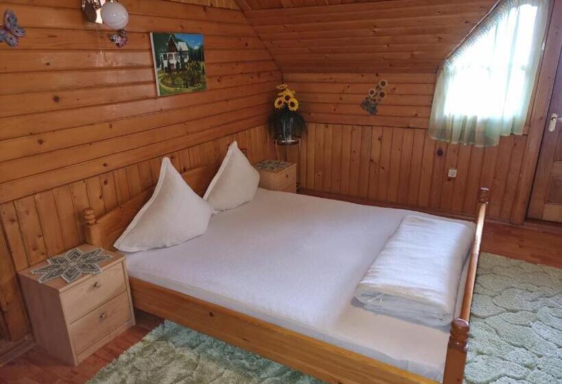 Номер Стандарт, Pensiunea Paradis