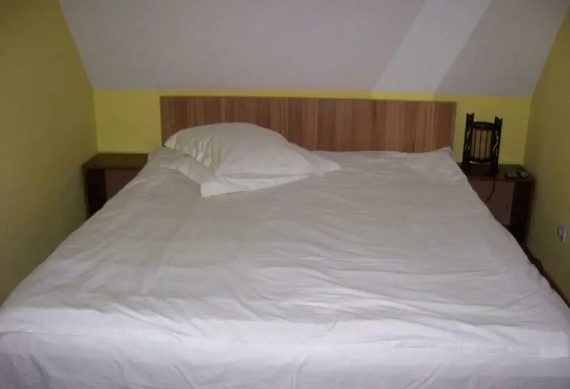 スタンダードルーム, Pensiunea Roua Diminetilor