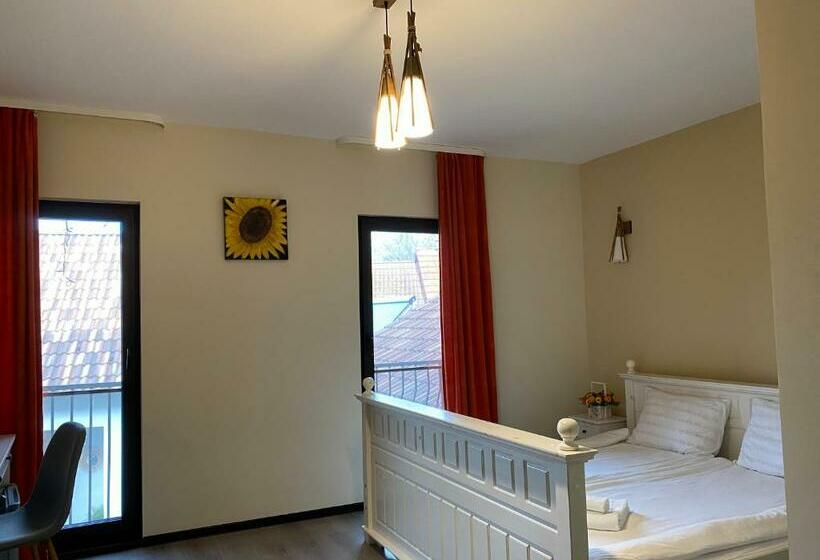 غرفة قياسية مطلة على الجبل, Agropensiunea Colev