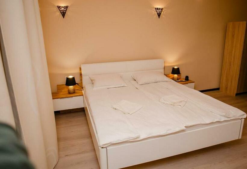 غرفة قياسية مطلة على الجبل, Agropensiunea Colev