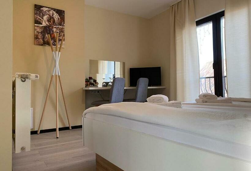 غرفة قياسية مطلة على الجبل, Agropensiunea Colev