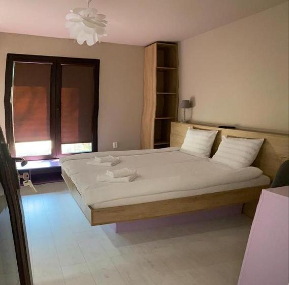 شقة غرفة واحدة, Agropensiunea Colev