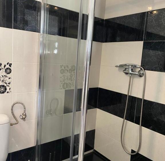 شقة غرفة واحدة, Agropensiunea Colev