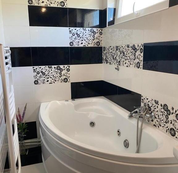 شقة غرفة واحدة, Agropensiunea Colev