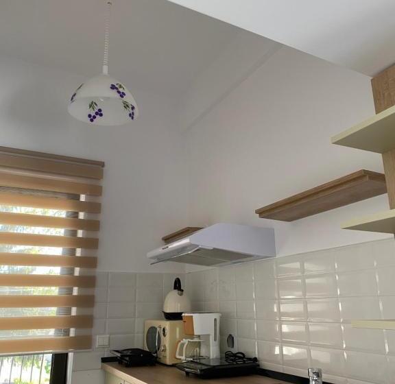 شقة غرفة واحدة, Agropensiunea Colev