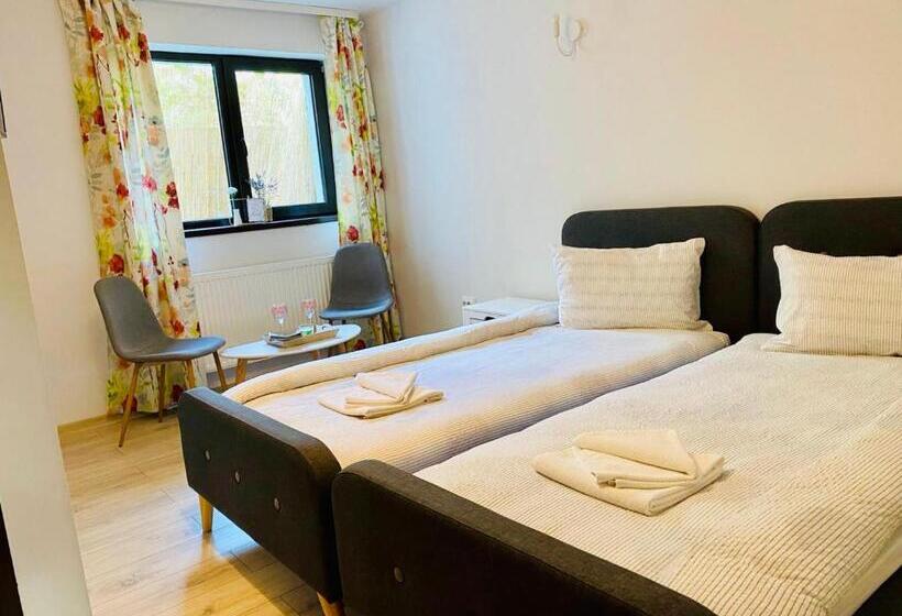 غرفة قياسية لذوى الاحتياجات الخاصة, Agropensiunea Colev