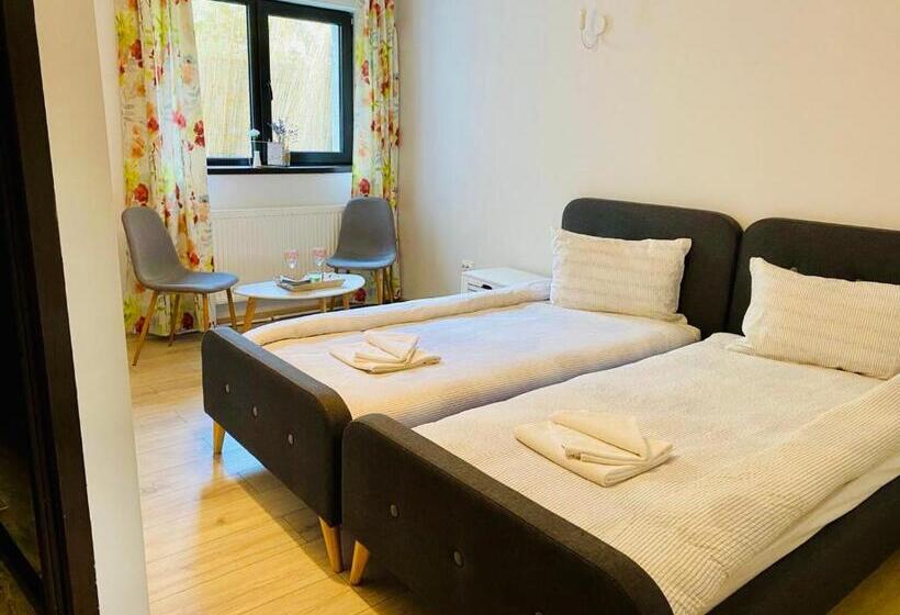 غرفة قياسية لذوى الاحتياجات الخاصة, Agropensiunea Colev