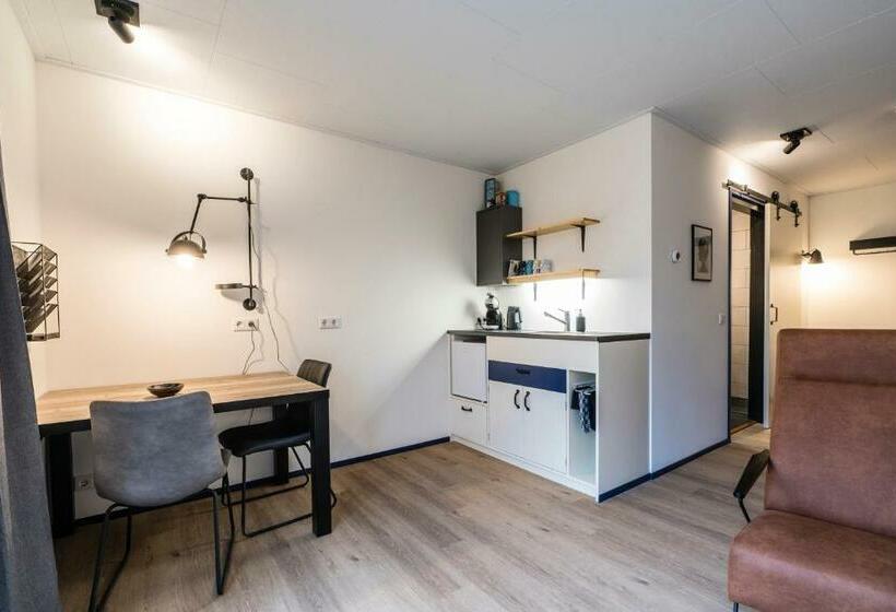 스탠다드 테라스 룸, B&b De Oldambtster