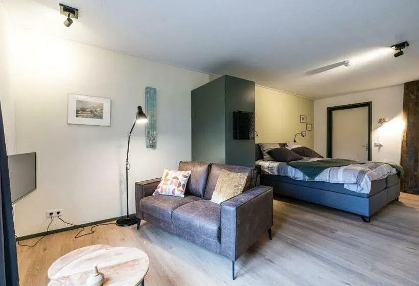 Cameră Standard cu Terasă, B&b De Oldambtster