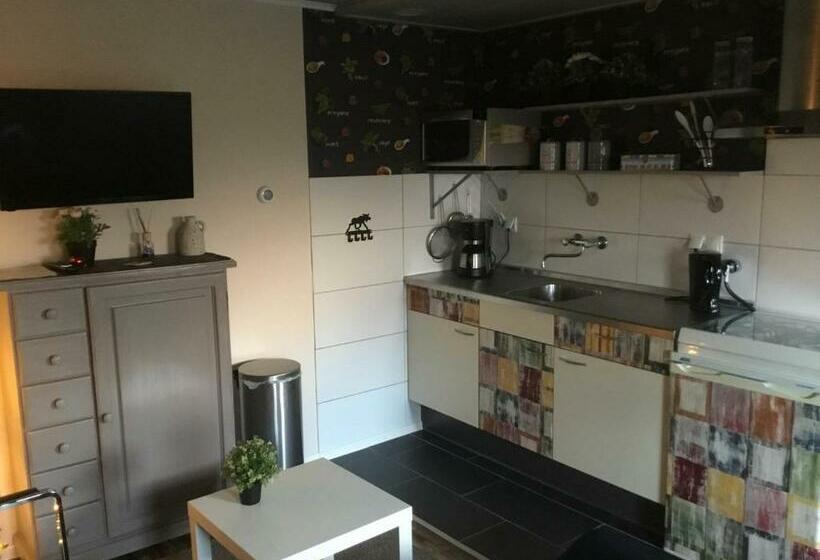 דירת חדר, B&b Zonnedauw