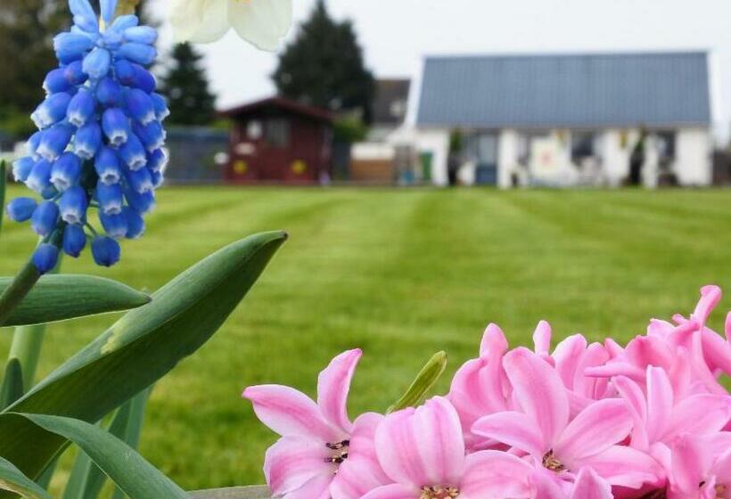 Люкс 2 Спальни, Sfeervol Appartement Het Knooppunt