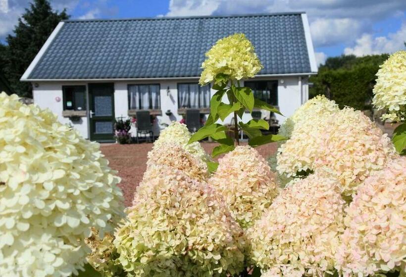 Люкс 2 Спальни, Sfeervol Appartement Het Knooppunt