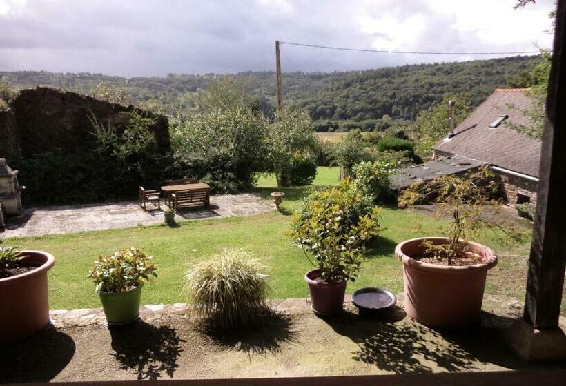 带花园景观的标准工作室, The Studio