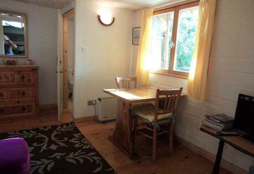 带花园景观的标准工作室, The Studio