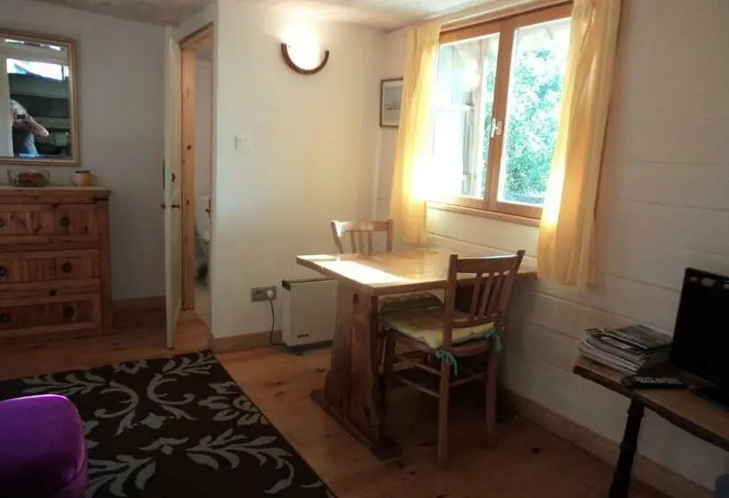 Standard-studio Puutarhanäkymä, The Studio
