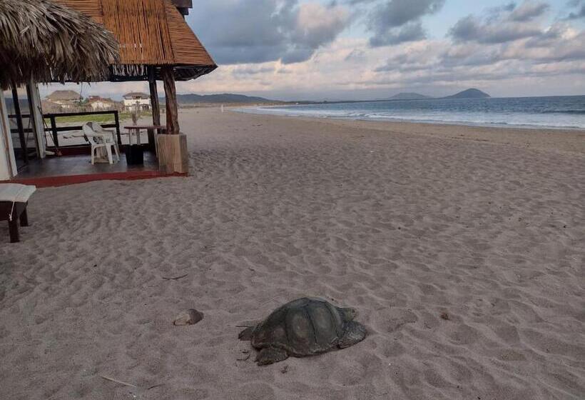 스탠다드 룸, Cabañas Alta Mar