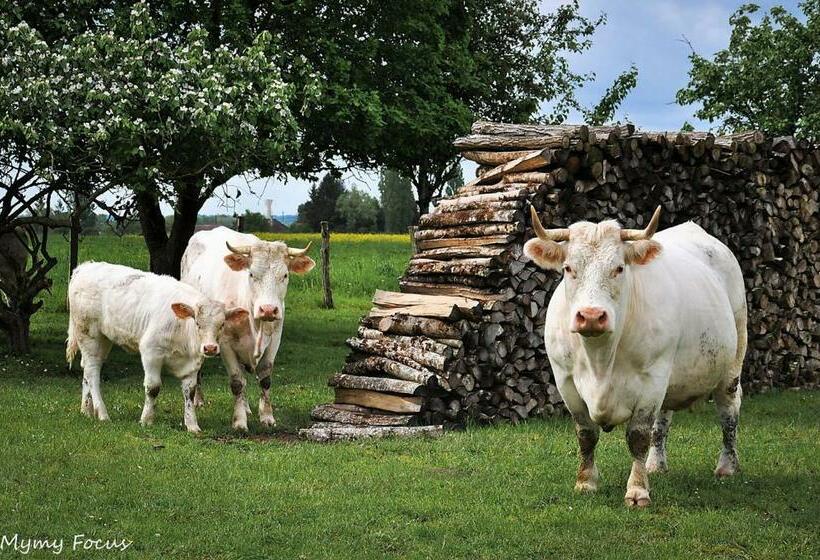 スタンダードルーム, Ferme Pedagogique Des Pennetieres