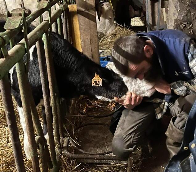 غرفة قياسية, Ferme Pedagogique Des Pennetieres