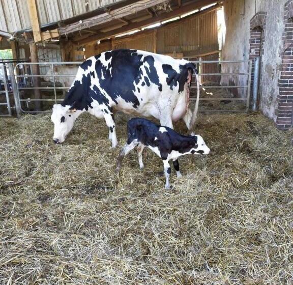 غرفة قياسية, Ferme Pedagogique Des Pennetieres