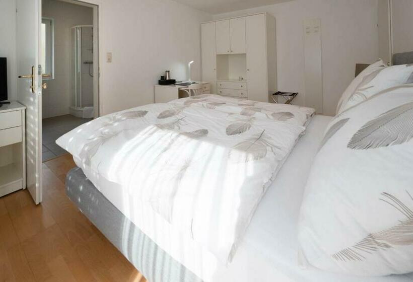 Номер Deluxe с Балконом, Aparthome L.i.n.z