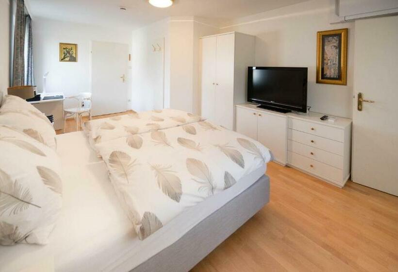 Номер Стандарт, Aparthome L.i.n.z