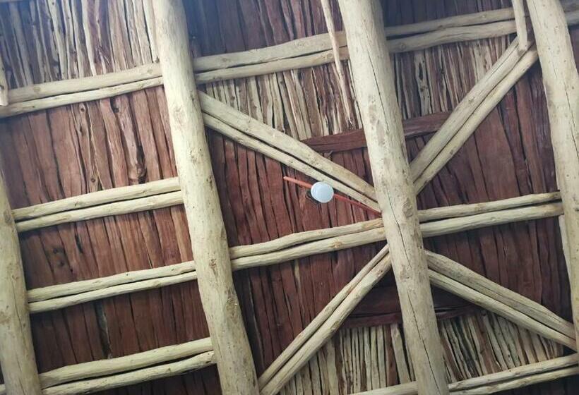 اتاق استاندارد یک نفره, Taghia Gîte Du Grimpeur