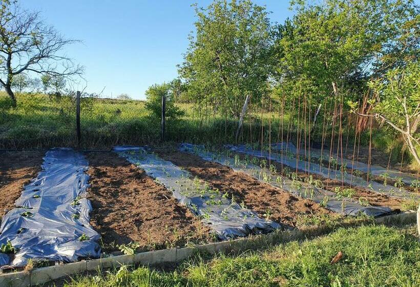 ガーデンビューの1ベッドルームビラ, Malavi Guest House Krasen! Comfort&clean!