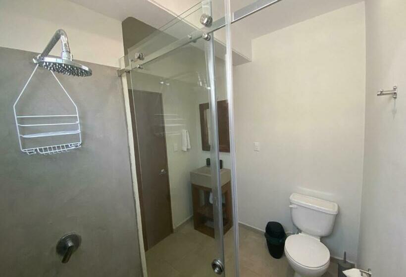 غرفة قياسية, Casaola Mizata