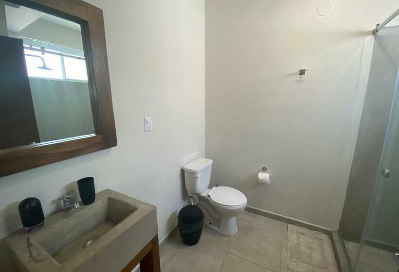 غرفة قياسية, Casaola Mizata