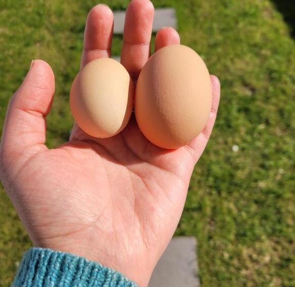 ハイドロマッサージバス付きスイート, Dream Of Mediterranean House, Jacuzzi, Bbq, Délices Ensoleillés