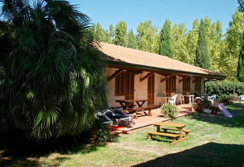 Студия Стандарт, Ghiacci Vecchi Residence