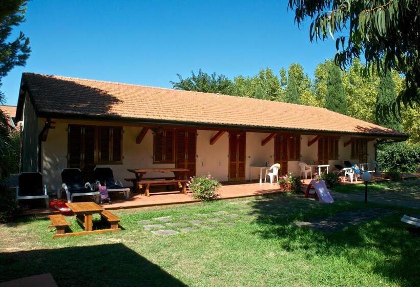 Студия Стандарт, Ghiacci Vecchi Residence