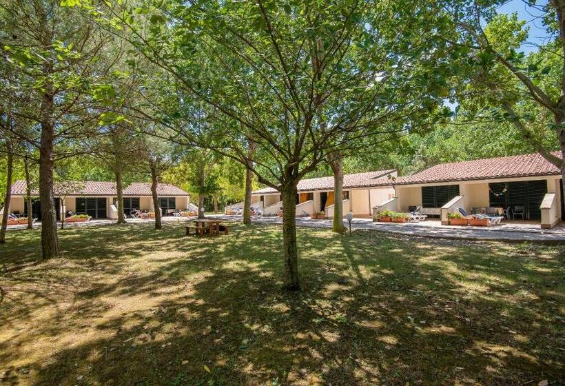 Апартаменты Внутренние 1 Спальня, Ghiacci Vecchi Residence