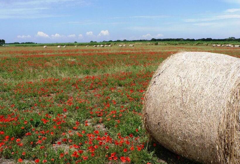 Апартаменты Внутренние 1 Спальня, Ghiacci Vecchi Residence