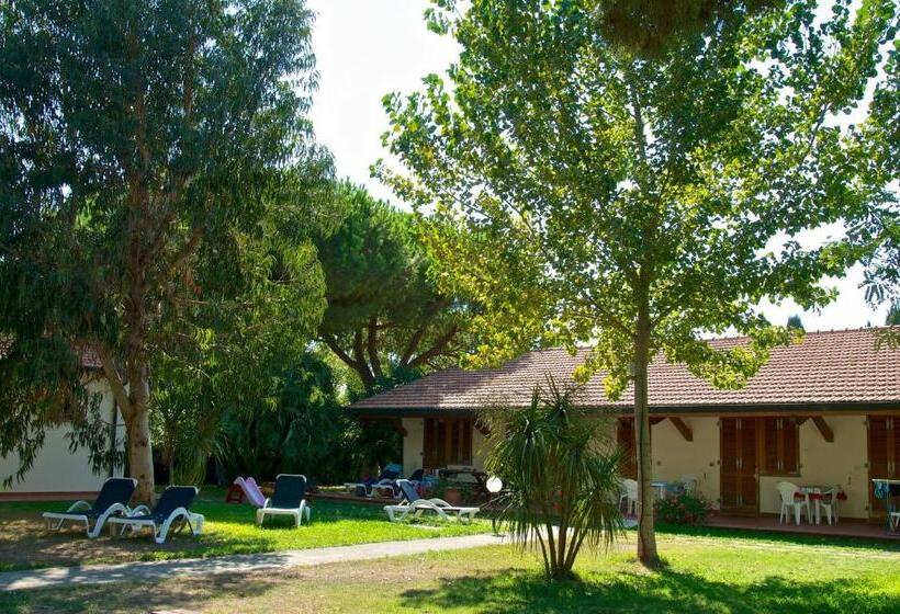 Студия Стандарт, Ghiacci Vecchi Residence