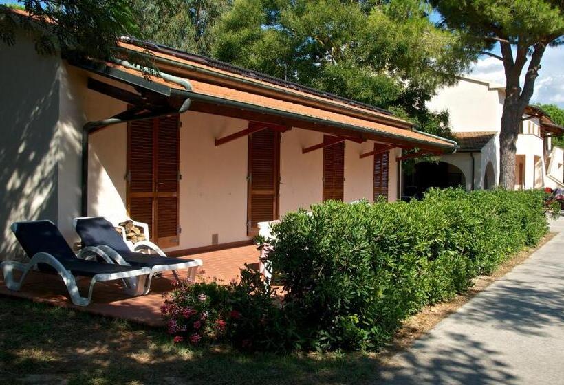 Студия Стандарт, Ghiacci Vecchi Residence