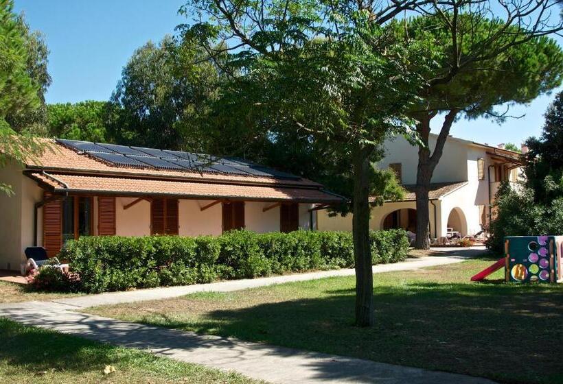 Студия Стандарт, Ghiacci Vecchi Residence